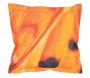 Coussin extérieur imperméable papillon - 9,90