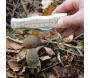 Couteau à champignons en acier inoxydable avec brosse - 7
