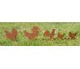 Décor de jardin Poules et Coq en métal vieilli - 5