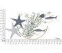 Décoration murale en métal Sea star 95.3 x 5 x 53.3 cm - MAU-0298