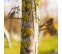 Décors de jardin en métal Oiseaux (lot de 2) - AUBRY GASPARD