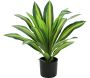 Dracena artificiel 22 feuilles hauteur 50 cm