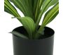 Dracena artificiel 22 feuilles hauteur 50 cm - 19,90