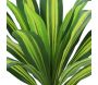 Dracena artificiel 22 feuilles hauteur 50 cm - SOV-0167