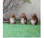 Ecureuils expressifs en résine (Lot de 3) - TRUE TO NATURE