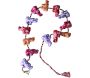 Embrase pour rideaux en tissu coloré éléphants