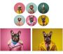 Ensemble sets de table et dessous de verre Funny Dogs