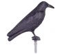 Epouvantail corbeau pour éloigner les pigeons