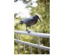 Epouvantail corbeau pour éloigner les pigeons - 10,90