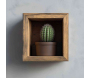 Etagère murale en bois Cubby - ASI-2322