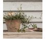 Etiquettes à plantes en cuivre (Lot de 6) - 6