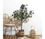 Eucalyptus artificiel 40 x 130 cm - CMP-5213