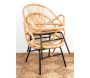 Fauteuil coquille en rotin et métal Ema - 6