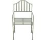 Fauteuil de jardin en fer Verdant Voyage - ESS-1836