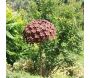 Fleur décorative en fer forgé rouillé - 