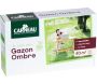 Gazon pour jardin ombragé