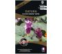 Graines de fleurs premium Datura Candida blackcurrant Swirl