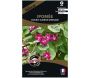 Graines de fleurs premium Ipomée double Sunrise Serenade