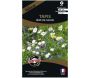 Graines de fleurs premium Tapis rêve de fleurs