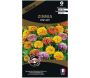 Graines de fleurs premium Zinnia pop art