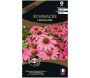 Graines de fleurs premium échinacée Feeling pink annuelle