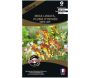 Graines de fleurs premium mina lobata plume d’indien scarlet yellow