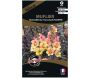 Graines de fleurs premium muflier bicolore feuillage pourpre