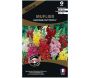 Graines de fleurs premium muflier madame butterfly