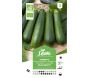 Graines potagères courgette verte noire maraichère