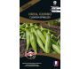 Graines potagères premium Okra gombo