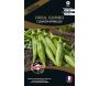 Graines potagères premium Okra gombo