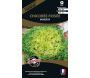 Graines potagères premium chicorée frisée Minerva