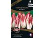 Graines potagères premium endive rouge festive