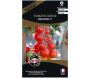 Graines potagères premium tomate