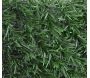 Haie artificielle 243 brins vert thuyas en rouleau Lux - JET7GARDEN
