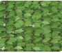 Haie artificielle jeunes feuilles de lierre en rouleau - JET7GARDEN