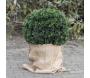 Housse d'hivernage en toile de jute - GARDEN TOOLS