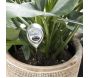 Hygromètre pour plantes d'intérieur Garden - ESSCHERT DESIGN
