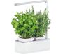 Jardinière avec lampe led intégrée Mini potager