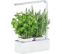 Jardinière avec lampe led intégrée Mini potager - SKY-0149
