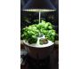 Jardinière avec lampe led intégrée Le potager avec engrais liquide - 14