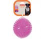 Jouet pour chien balle avec picots Pop 13 cm