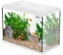 Kit aquarium 24 litres Initio 40 - 64,90