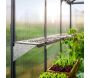 Kit d'étagère en polypropylène pour serre de jardin (Lot de 2) - Canopia by Palram