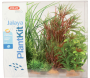 Kit de 6 plantes Plantkit Jalaya - 20,90