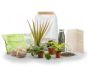 Kit terrarium plantes Opendo - NAT-0121