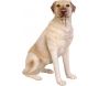 Labrador assis en résine 80 cm