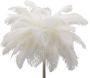 Lampadaire en métal et plastique Palm 55 x 160 cm - 169