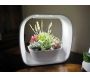 Lampe LED ludique avec jardinière intégrée - 74,90
