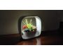 Lampe LED ludique avec jardinière intégrée - 5